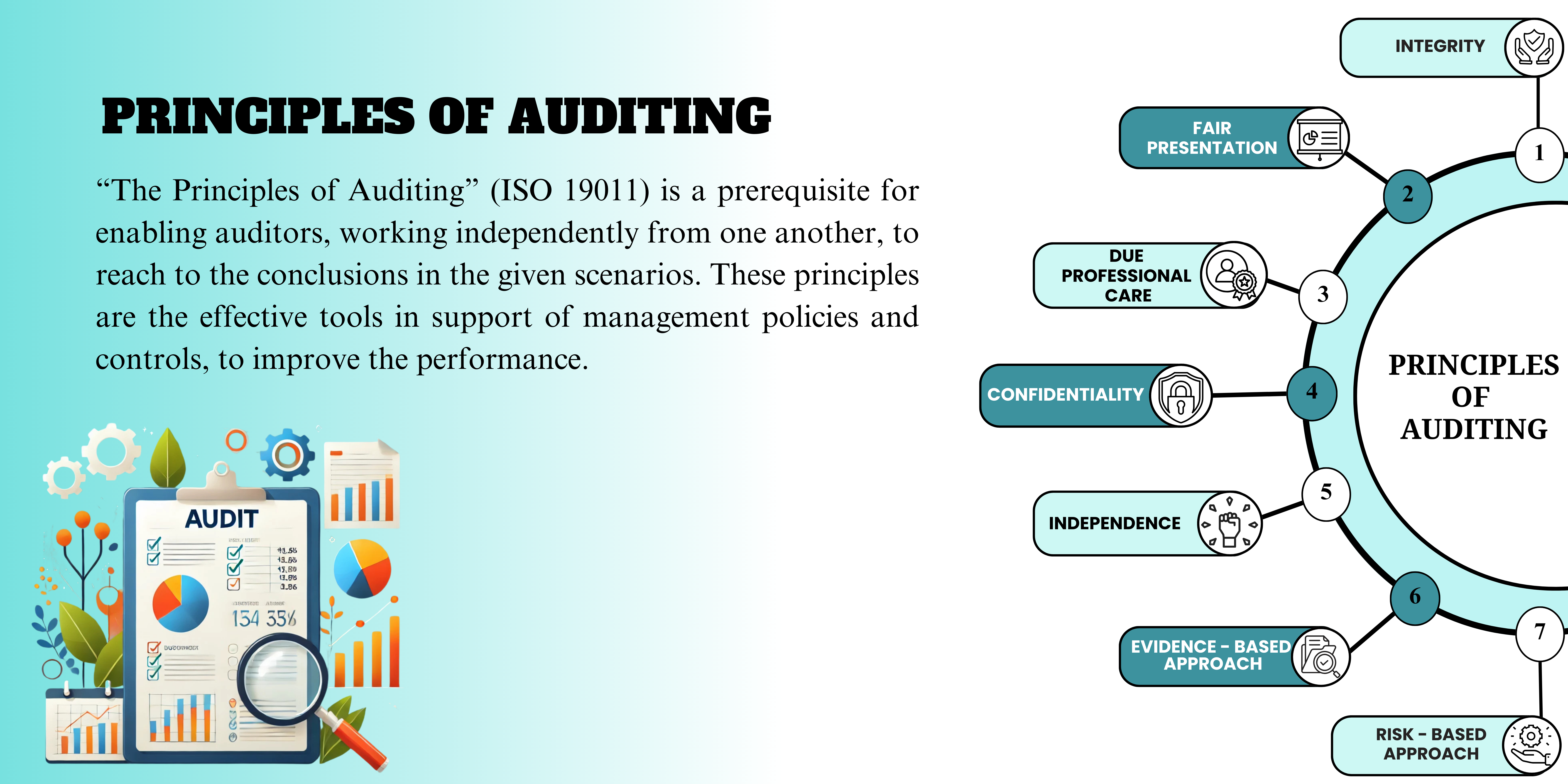 audit info
